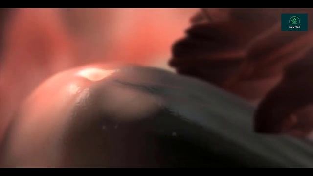 Овуляция рус