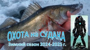 Открытия зимнего сезон 2024-2025 . Хищник на Судака!