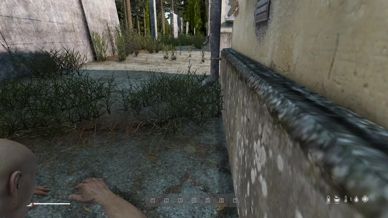 DAYZ УЧИМСЯ ИГРАТЬ В ДЭЙЗ