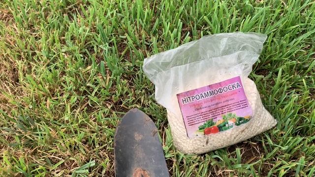 Подкормка помидор во время цветения