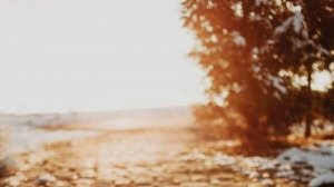 Жизненные истории - История о чувствах, преодолевших все препятствия...