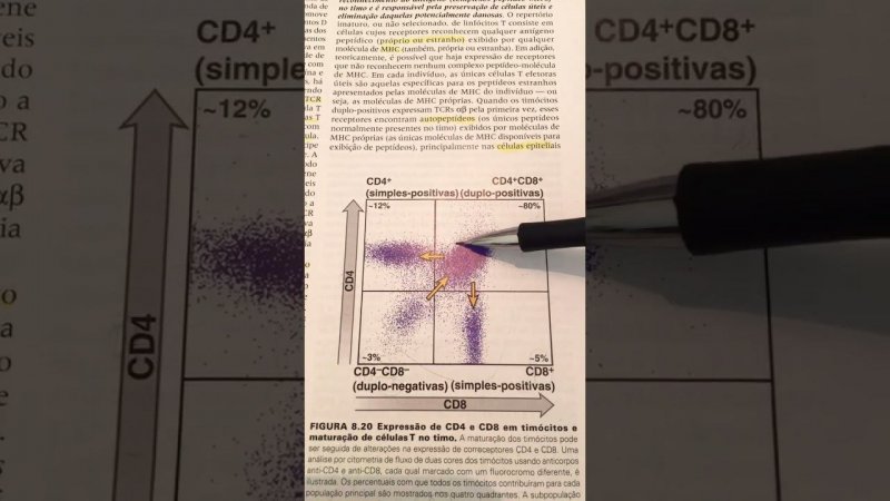 Expressão de CD4 e CD8 em timoneiros e maturação de células T no timo #biologia #imunologia #livro