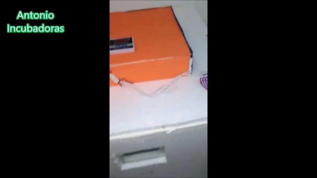 Incubadora casera para pollos. смотреть онлайн