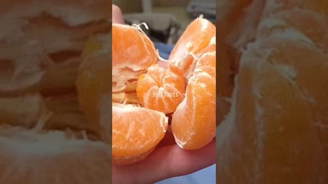 СЛАДОСТИ, КОТОРЫХ НЕТ В АМЕРИКЕ смотреть онлайн