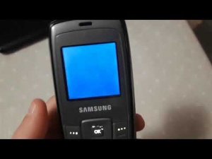 Samsung SGH-C140  secret code.