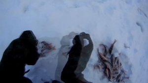 Отличная зимняя рыбалка на КВХ /Ловля окуня на чертика,балансир и на блесна /2 Часть фильма