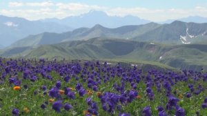 Кинзелюк - новый виток. Полная авторская версия.