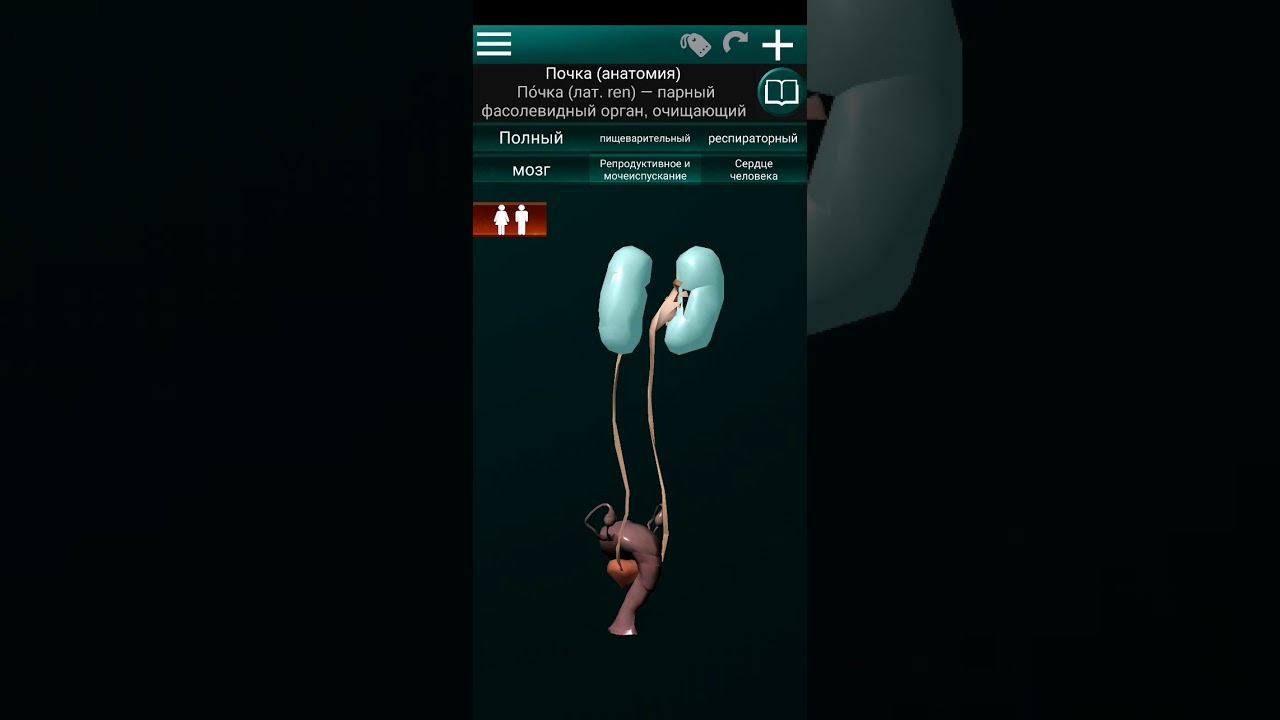 Кеңес фильмдерінің порно фейктері