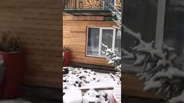 барбекю с печкой и тандыром