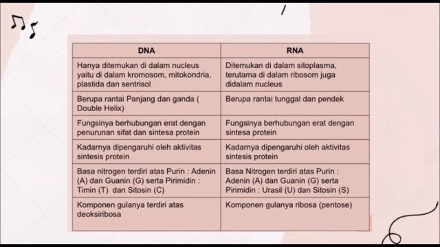 DNA, RNA dan Sintesis Protein,  Kelas D, S1 2021-2022 смотреть онлайн