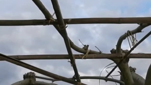Краснодар ПМЖ, подработка. Плюсы, минусы, какие трудности, что понравилось.