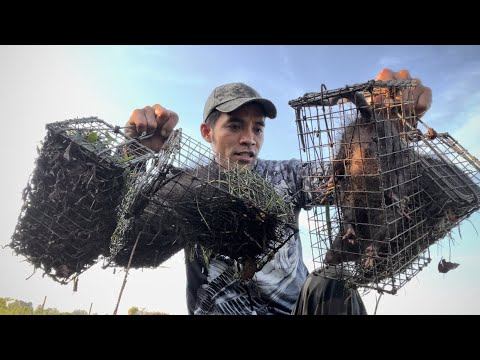 Trùm Cuối Vùng Cầu Đen Loài Chuột Hung Dữ Nhất смотреть онлайн