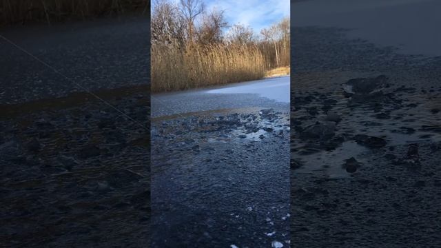 Жерлица сезона 2016-2017 по тонкому льду смотреть онлайн