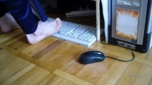 Layri's life - feet working with keyboard and mouse