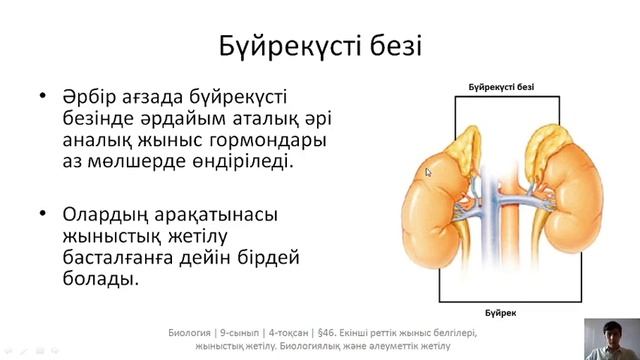 46. Екінші реттік жыныс белгілері, жыныстық жетілу. Биологиялық және әлеуметтік жетілу. 9-сынып Био