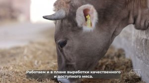 ЖИВОТНОВОДСТВО СТАНОВИТСЯ ДРАЙВЕРОМ СЕЛЬСКОГО ХОЗЯЙСТВА