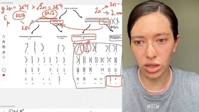 ОГЭ и ЕГЭ по Биологии за 40 МИНУТ | что такое NC набор | ЛАЙФХАК смотреть онлайн