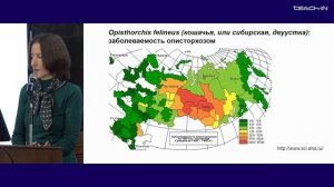 Богомолова Е.В. - Зоология беспозвоночных - 16. Тип Platyhelminthes (Плоские черви): Neodermata
