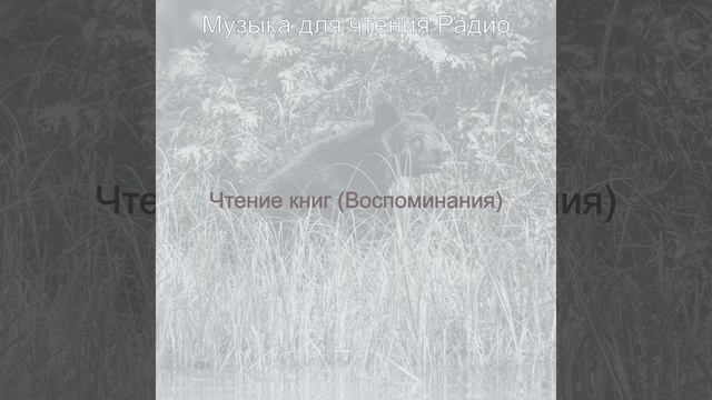 Атмосфера (Книги)