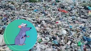 Зеленая школа