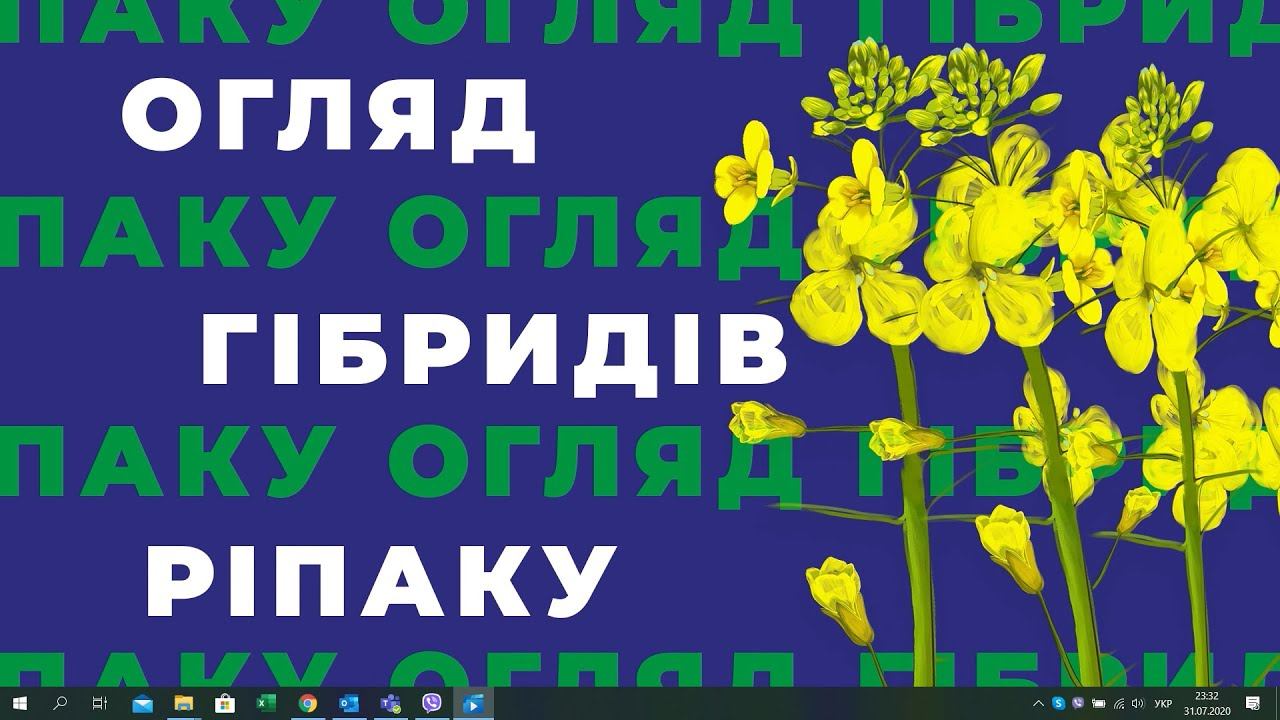 Огляд ексклюзивних гібридів озимого ріпаку селекцій НПЦ Лембке та Лімагрейн від Спектр-Агро