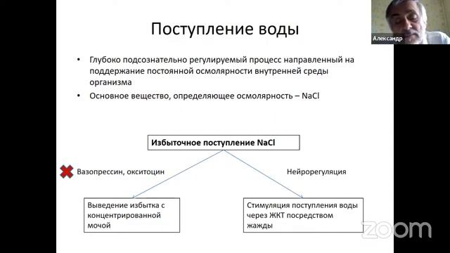 Питание при ХБП на диализе