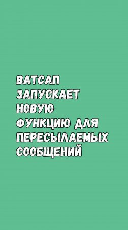 Ватсап Для Андроид Тестирует Новую Функцию