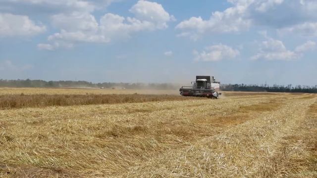 Научно-производственное хозяйство "Кореновское" смотреть онлайн
