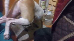 зато вкусно