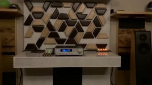 Audio Physic Tempo (11)