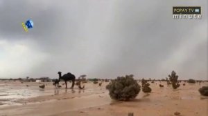 HUJAN DAN PELANGI DI GURUN TAIF, ARAB SAUDI | popayTVminute