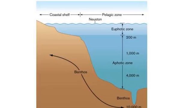 microbial ecology смотреть онлайн