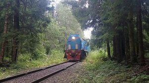 тепловозы ТЭМ2-2757 и ТЭМ2-1327 с грузовым составом