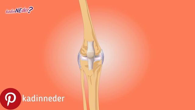 Doğal Bir Stres Savar Olarak Anılan Limon Otunun Merak Uyandıran Faydaları ve Kullanımı смотреть онлайн