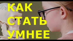 Как стать умнее, развитие интеллекта