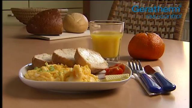 GERATHERM OVU CONTROL ČESKÝ смотреть онлайн