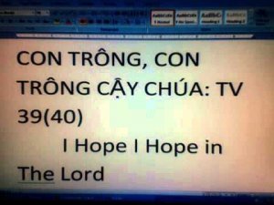 CON TRÔNG, CON TRÔNG CẬY CHÚA: TV 39(40)