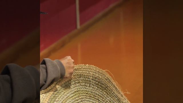 The beauty of Norfolk Island смотреть онлайн