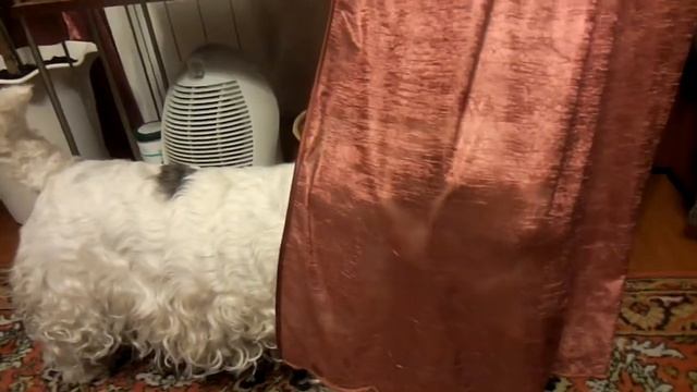 Коронный номер сили смотреть онлайн