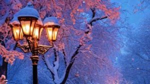 Интересные истории из жизни - Свобода и одиночество...