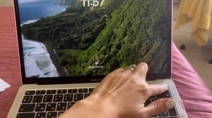 Выключить компьютер MacBook Apple быстрый / аварийный 2 способы