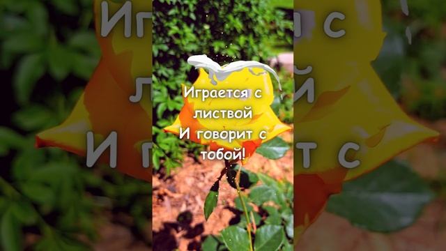 Хорошего дня! #хорошеенастроение #душевныепожелания