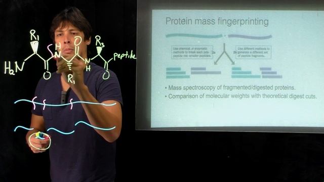 Topic 4.16 - Sequencing Tandem Mass spec part 2