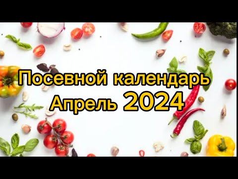 Посевной календарь: Благоприятные дни для Садовода и Огородника / АПРЕЛЬ 2024