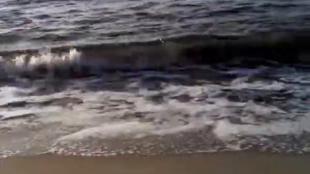 Море в Янтарном в ноябре 2017 смотреть онлайн