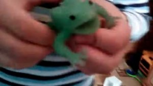 Обзор на лягушки и Ко новая версия с моим братом