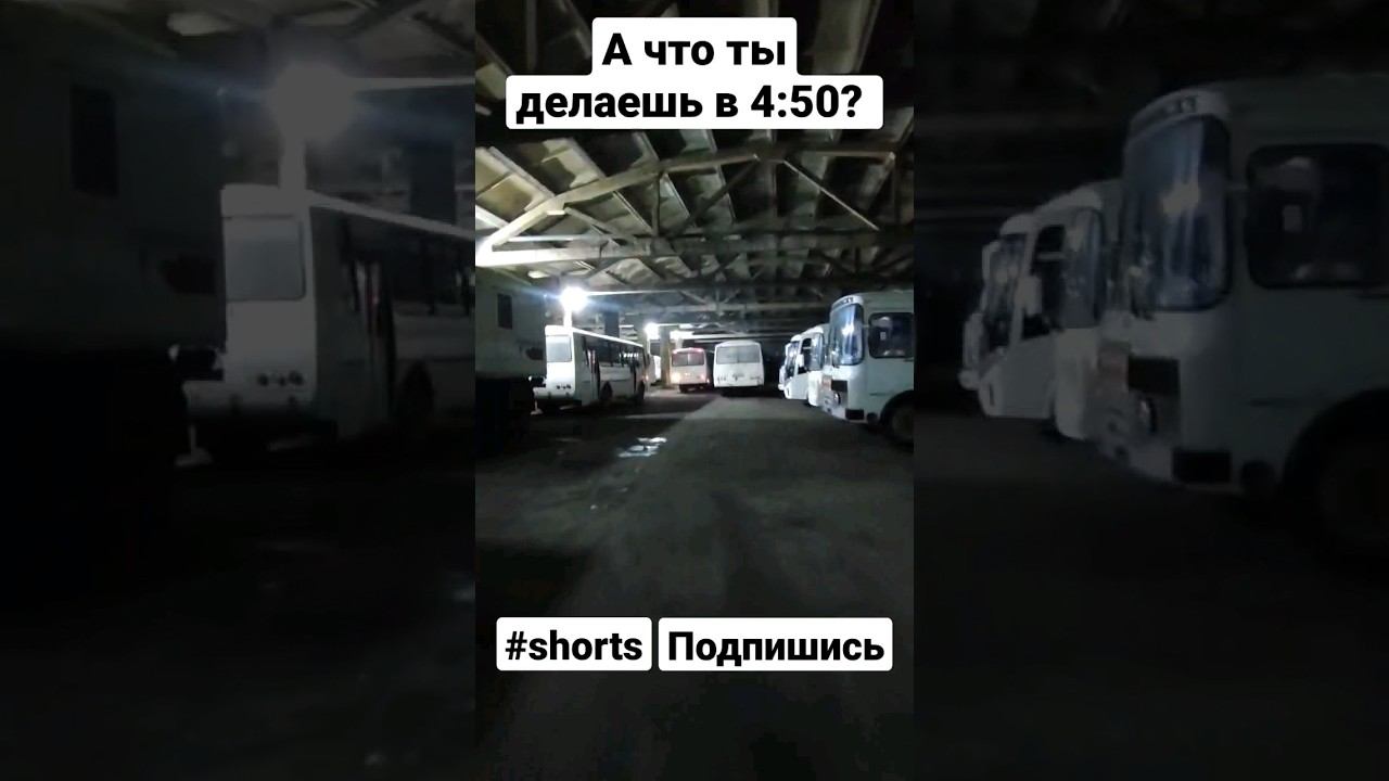 А вы что делаете в 4:50 утра?/автобусы/ПАЗик/водитель автобуса. смотреть онлайн