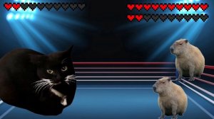 Giant Maxwell cat vs two Capybaras! Meme battle