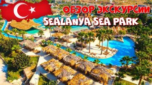 Обзор SEALANYA Sea Park! Стоит ехать или нет? Экскурсия для семьи в Турции! Скаты! Дельфины! Рыбки!