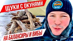 ДА ОТКУДА  ТУТ СТОЛЬКО РЫБЫ?! ОКУНИ И ЩУЧКИ НА БАЛАНСИРЫ И РАТЛИНЫ. РЫБАЛКА НА КАРЬЕРЕ ПРОДОЛЖАЕТСЯ.